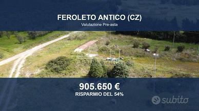 Immobile in asta di 79900 m² a Feroleto Antico