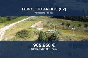 Immobile in asta di 79900 m² a Feroleto Antico