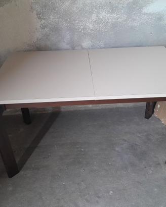 Tavolo 6/8 posti