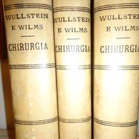 Chirurgia di Wullstein e Wilms