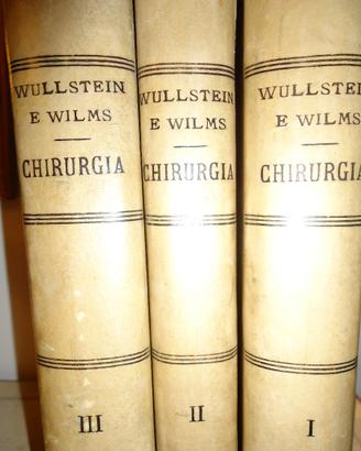 Chirurgia di Wullstein e Wilms