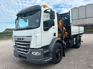 Camion gru ribaltabile con gru Daf XB 310