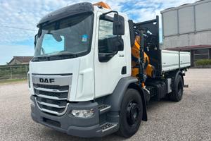 Camion gru ribaltabile con gru Daf XB 310