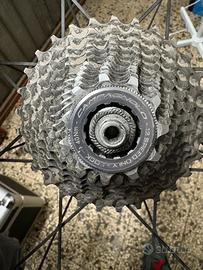 Pacco pignoni Campagnolo super record 12v