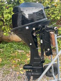 Mercury 9.9 ELPT CT Big Foot