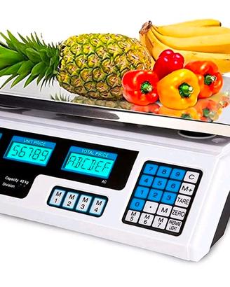 Bilancia Elettronica Professionale Digitale 40kg