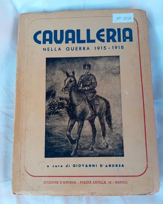 Cavalleria nella Guerra 1915-1918 G. D'Andrea
