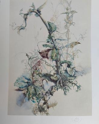 Renzo Vespignani rara litografia Prova Artista P.A