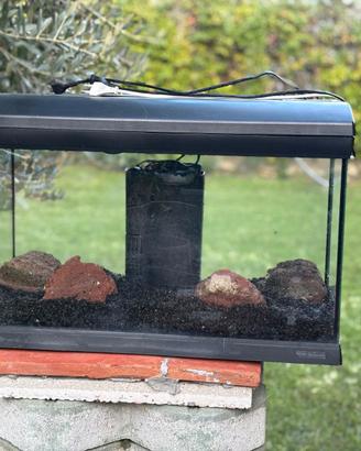 Acquario 50 litri
