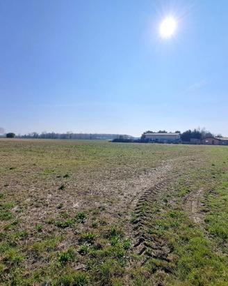 Lotti di terreni agricoli nei comuni di Pocenia...