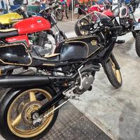 gilera saturno anniversario