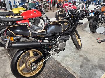 gilera saturno anniversario