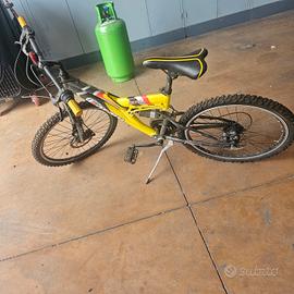 bicicletta bambino