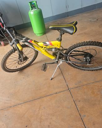 bicicletta bambino