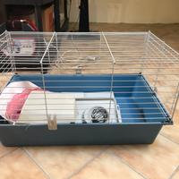 Gabbia per piccoli animali