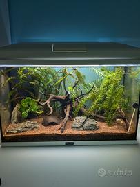 acquario 58 litri