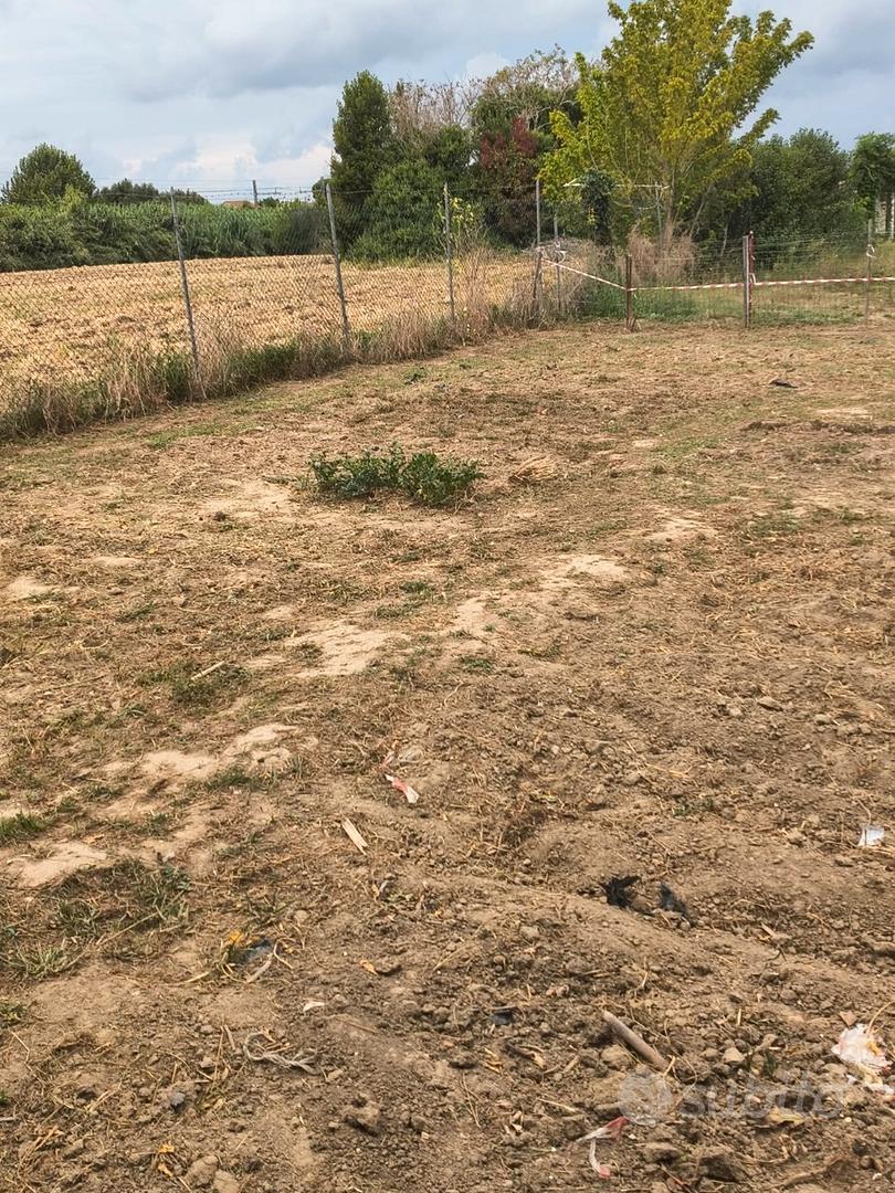 Orto di mq 260 in Cascina (PI) Via Tosco Romagnola - Vista 2