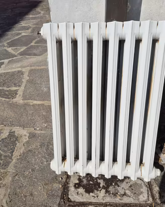 Termosifone in ghisa