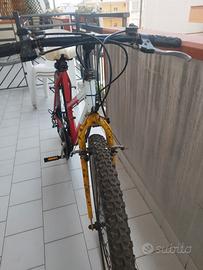 graziosa bicicletta 
