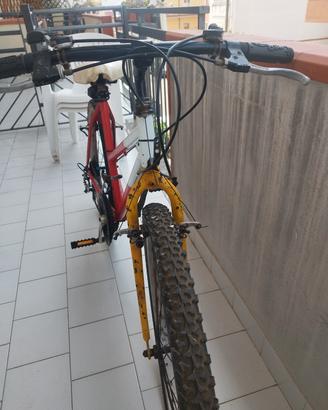graziosa bicicletta 
