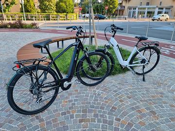 Bicicletta Citybike Elettrica