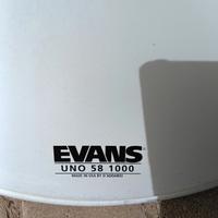 pelle batteria Evans drumheads