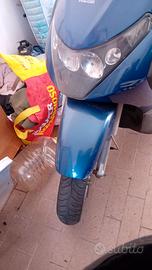 Beverly 250