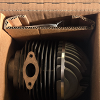 Evok iron boost d58 vespa