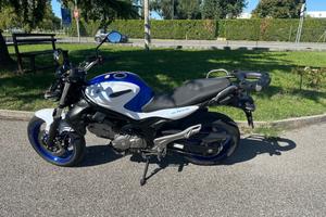 Suzuki Gladius