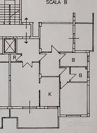 Roma ostia levante pineta