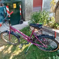 bicicletta bimba