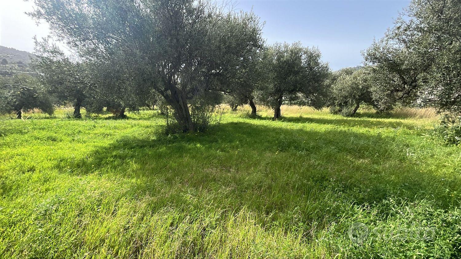 Terreno, Cefalù. - Vista 3