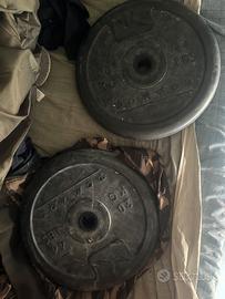 Dischi 20 Kg