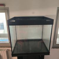 acquario juwel lido 200 ed altro