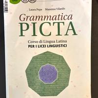 Libro di latino Grammatica Picta - Einaudi Scuola