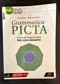 Libro di latino Grammatica Picta - Einaudi Scuola