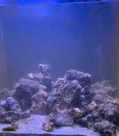 Rocce per acquario marino 