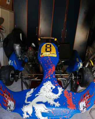 Kart 125 motore pavesi a marce