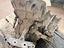 Immagine 6