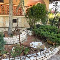 Villa vacanze con giardino - Castel Del Monte