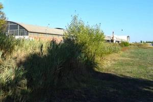 Immobile in asta di 12037 m² a Camposanto