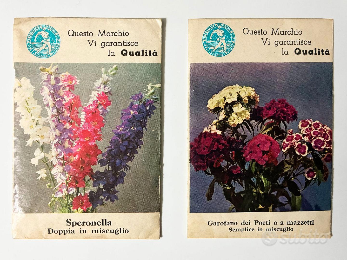 Lotto 35 Bustine Pokemon - Varie Serie (Neu (gemäss Beschreibung)) in