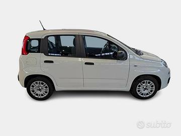 FIAT PANDA 1.0 70cv S/S Hybrid E6d-T Easy 5 PORTE