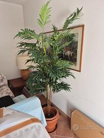 pianta finta