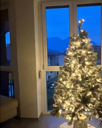 Albero di Natale 🌲