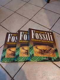 il Magico mondo dei fossili  
