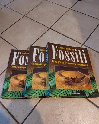 il Magico mondo dei fossili  