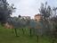 Immagine 7