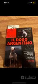 Il dogo argentino
