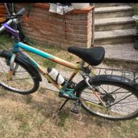 Bicicletta mountain bike ruote del 24